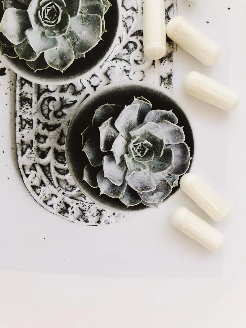 Cavowexaje probiotica capsules met levende culturen en vezels